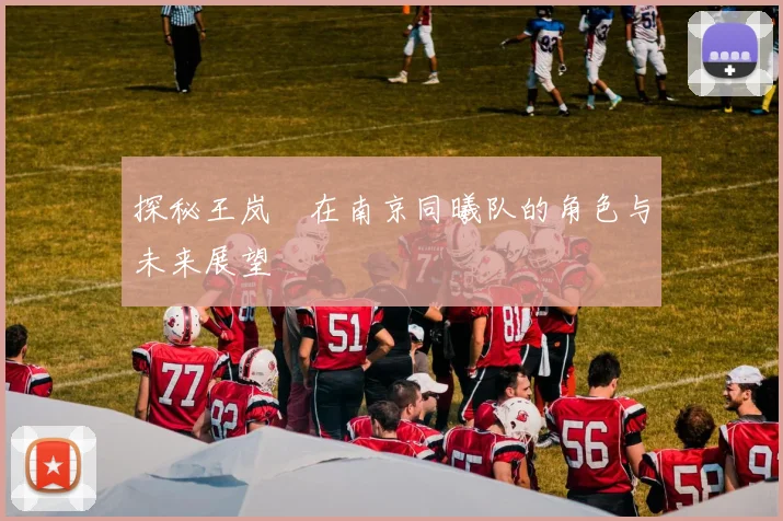 探秘王岚嵚在南京同曦队的角色与未来展望