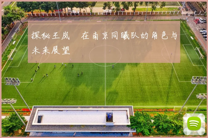 探秘王岚嵚在南京同曦队的角色与未来展望