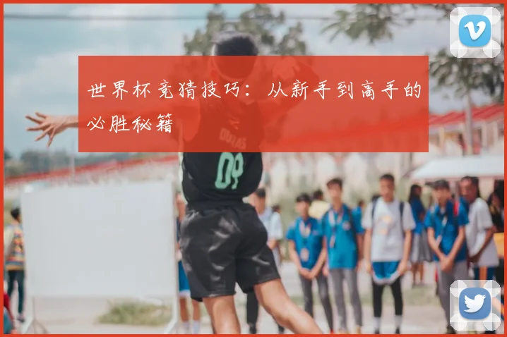 世界杯竞猜技巧：从新手到高手的必胜秘籍