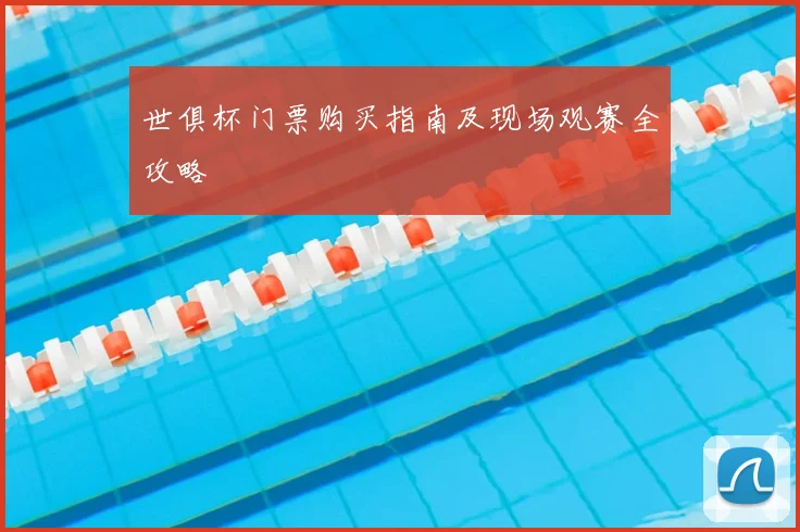 世俱杯门票购买指南及现场观赛全攻略