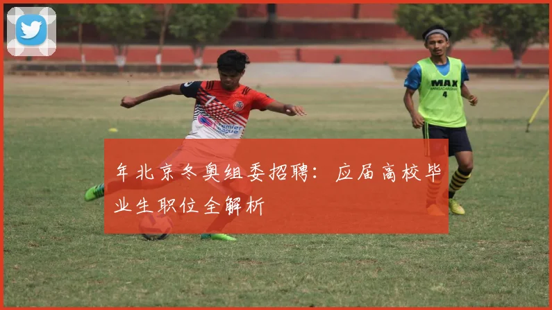 年北京冬奥组委招聘：应届高校毕业生职位全解析