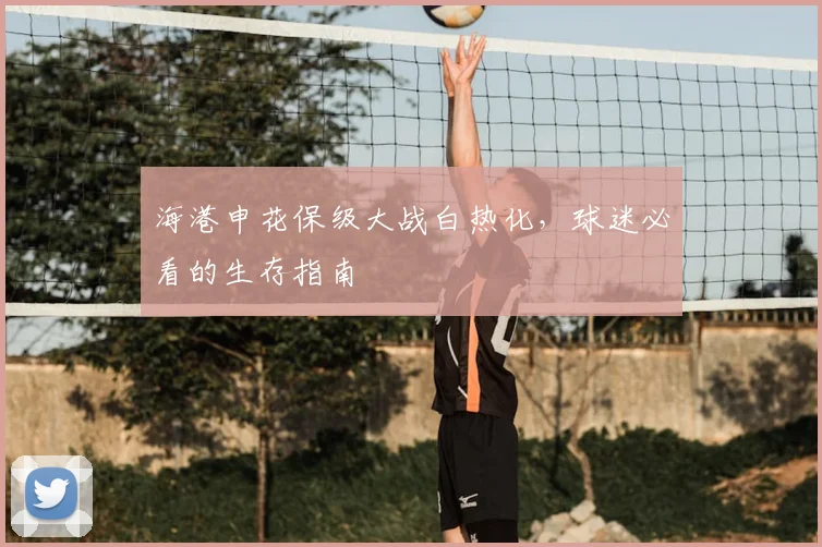 海港申花保级大战白热化，球迷必看的生存指南