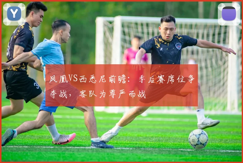 凤凰VS西悉尼前瞻:季后赛席位争夺战,客队为尊严而战