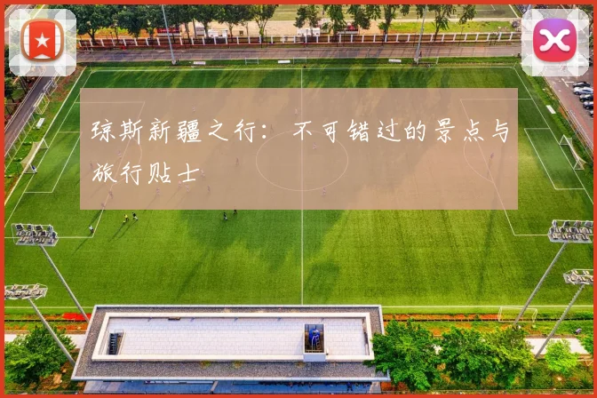 琼斯新疆之行:不可错过的景点与旅行贴士